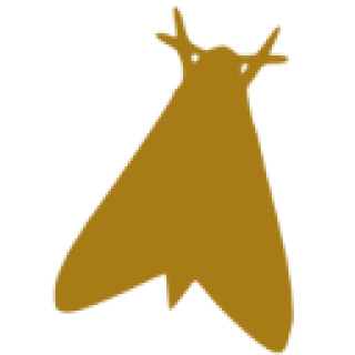 Not A Bug Logo